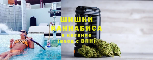твердый Иннополис