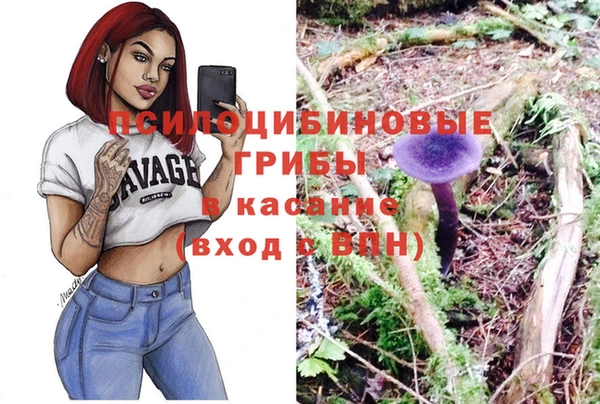 твердый Иннополис