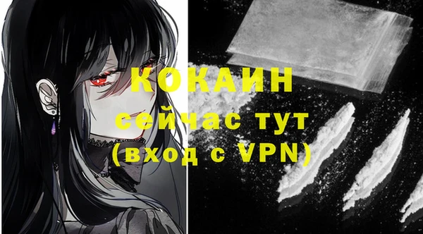 твердый Иннополис