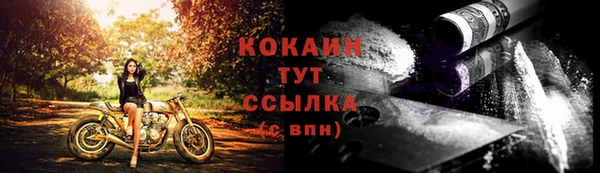 твердый Иннополис